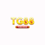Foto del perfil de TG88