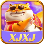 Foto del perfil de xjxj