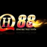 Foto del perfil de QH88