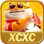 Foto del perfil de xcxc