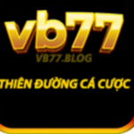 Foto del perfil de VB77