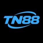 Foto del perfil de TN88