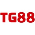 Foto del perfil de TG88