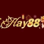 Foto del perfil de HAY88