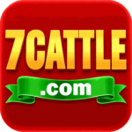 Foto del perfil de u7cattle9273