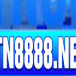 Foto del perfil de TN88