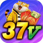 Foto del perfil de u37v7616