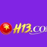 Foto del perfil de H13
