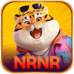 Foto del perfil de nrnr7448
