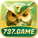 Foto del perfil de u737game5587
