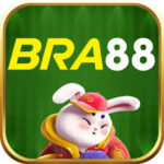 Foto del perfil de bra1488
