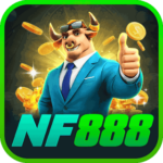 Foto del perfil de nf1089