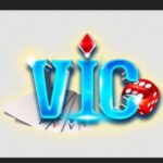 Foto del perfil de VICCLUB HOUSE