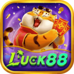 Foto del perfil de luck8194