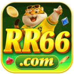 Foto del perfil de rr4108