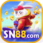 Foto del perfil de sn6853