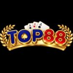 Foto del perfil de cổng game top88