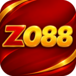 Foto del perfil de zo6982