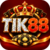 Foto del perfil de tik4328