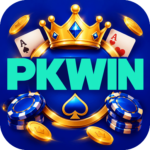 Foto del perfil de pkwin6951