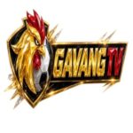 Foto del perfil de GavangTV tbd