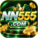 Foto del perfil de nn555