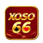 Foto del perfil de Xoso 66