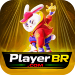 Foto del perfil de playerbr