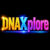 Foto del perfil de dnaxplore