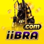 Foto del perfil de iibra