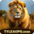 Foto del perfil de tyleaopg