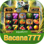 Foto del perfil de bacana777