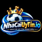 Foto del perfil de nhacaiuytinio01