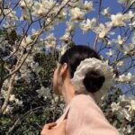 Foto del perfil de mises