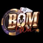 Foto del perfil de BOMWIN BONGNET