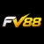 Foto del perfil de FV88