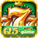 Foto del perfil de q5game4478