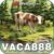 Foto del perfil de vaca888