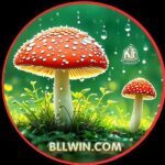 Foto del perfil de bllwin