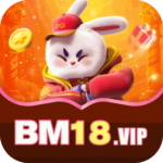 Foto del perfil de bm18