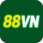 Foto del perfil de u88vn9912