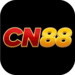 Foto del perfil de cn2944