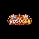 Foto del perfil de Xoso666 belaveaco
