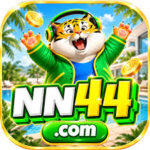 Foto del perfil de nn44