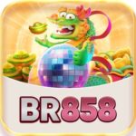 Foto del perfil de br858