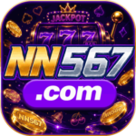 Foto del perfil de nn1583