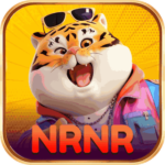 Foto del perfil de nrnr6547
