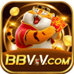 Foto del perfil de bbvv