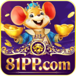 Foto del perfil de u81pp2529