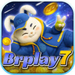 Foto del perfil de brplay7